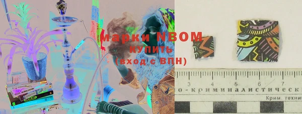 эйфоретик Белокуриха
