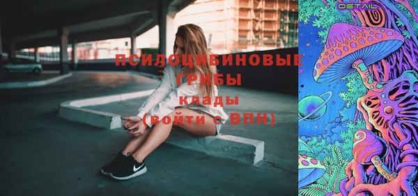 ALPHA-PVP Богородицк