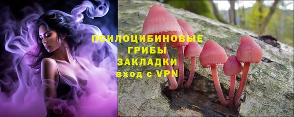 ALPHA-PVP Богородицк