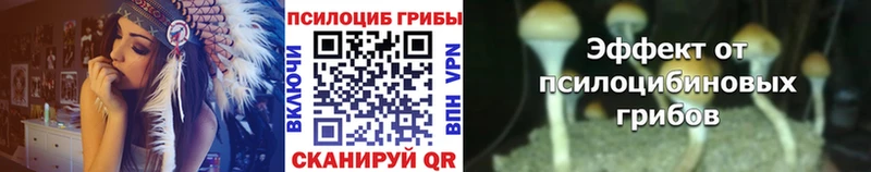 Галлюциногенные грибы MAGIC MUSHROOMS  гидра рабочий сайт  Волхов 